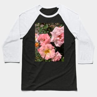 Roses Baseball T-Shirt